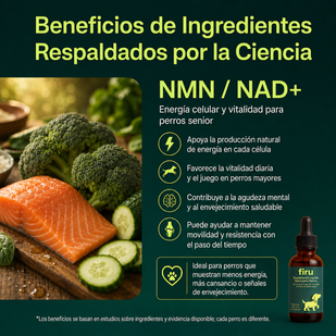 NAD+ (Nicotinamida Adenina Dinucleótido)