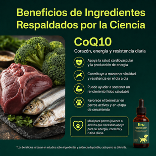 Coenzima Q10 (CoQ10)