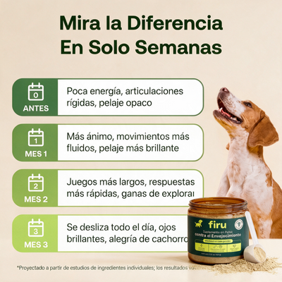 Firulabs® | Suplemento Antienvejecimiento para Perros