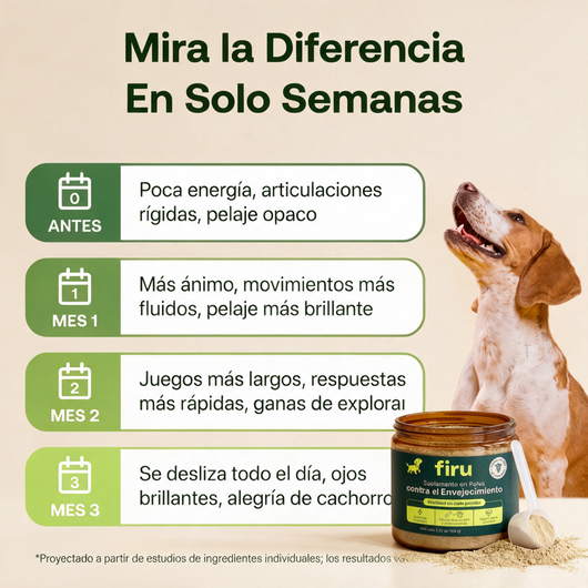 Firulabs® | Suplemento Antienvejecimiento para Perros